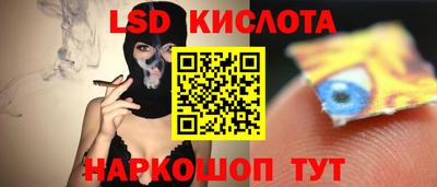 твердый Кингисепп