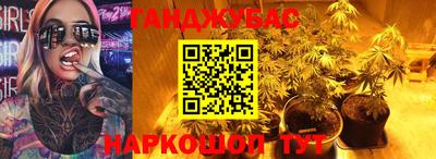 твердый Кингисепп