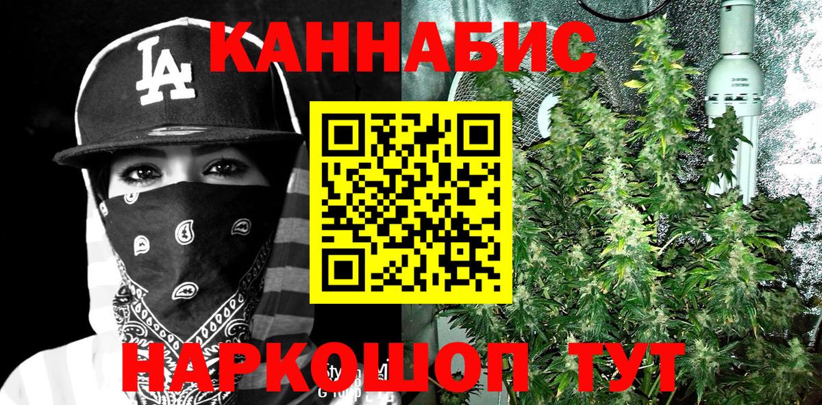 Бошки марихуана VHQ  Вход с VPN  МАРИХУАНА Bruce Banner  Котлас  МАРИХУАНА гибрид 